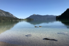 IMG_1861