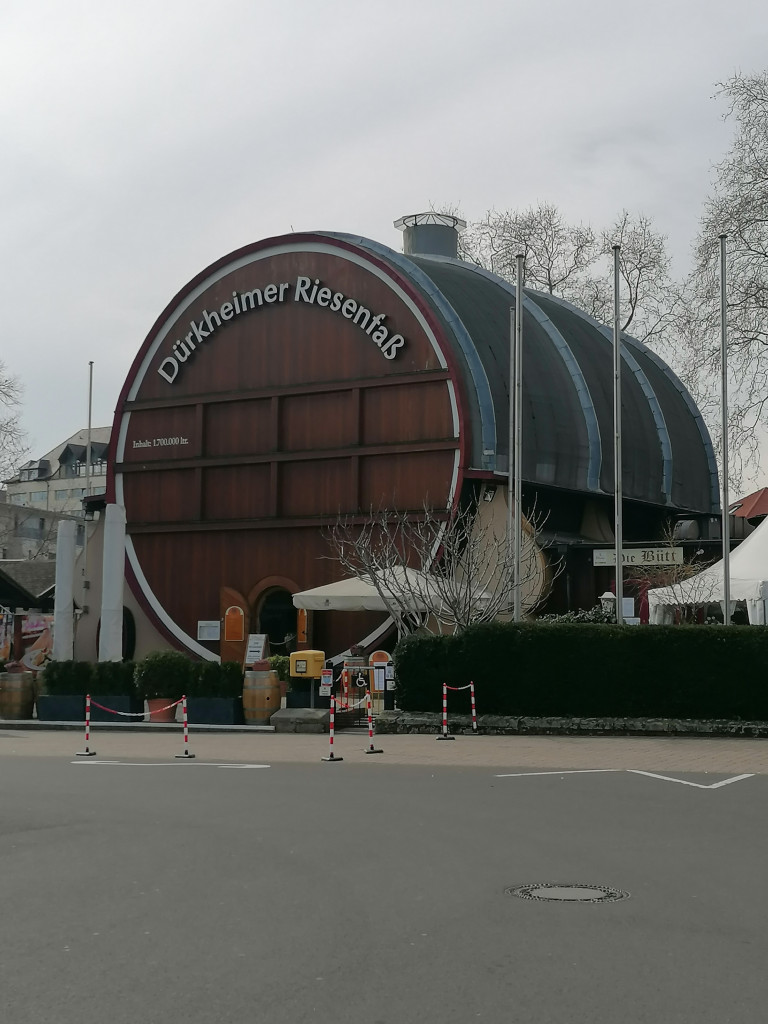 Frühjahr in der Pfalz